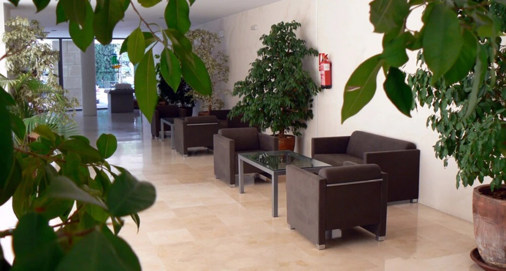 Apartment In El Puerto De Santa Maria 100454