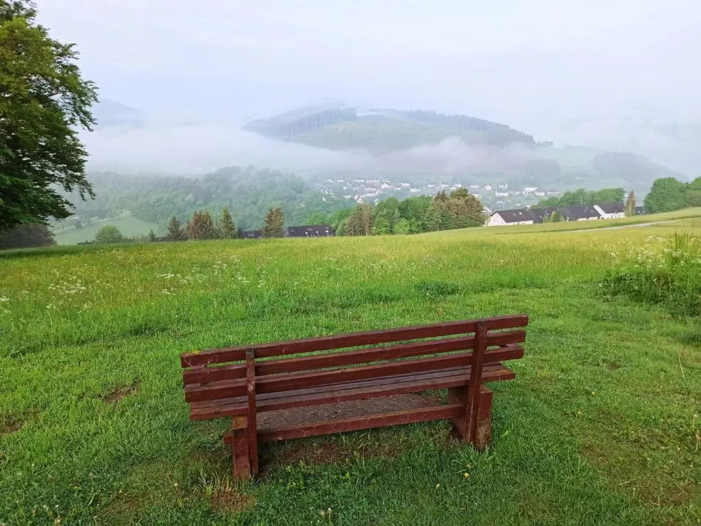 Panorama Hotel Winterberg