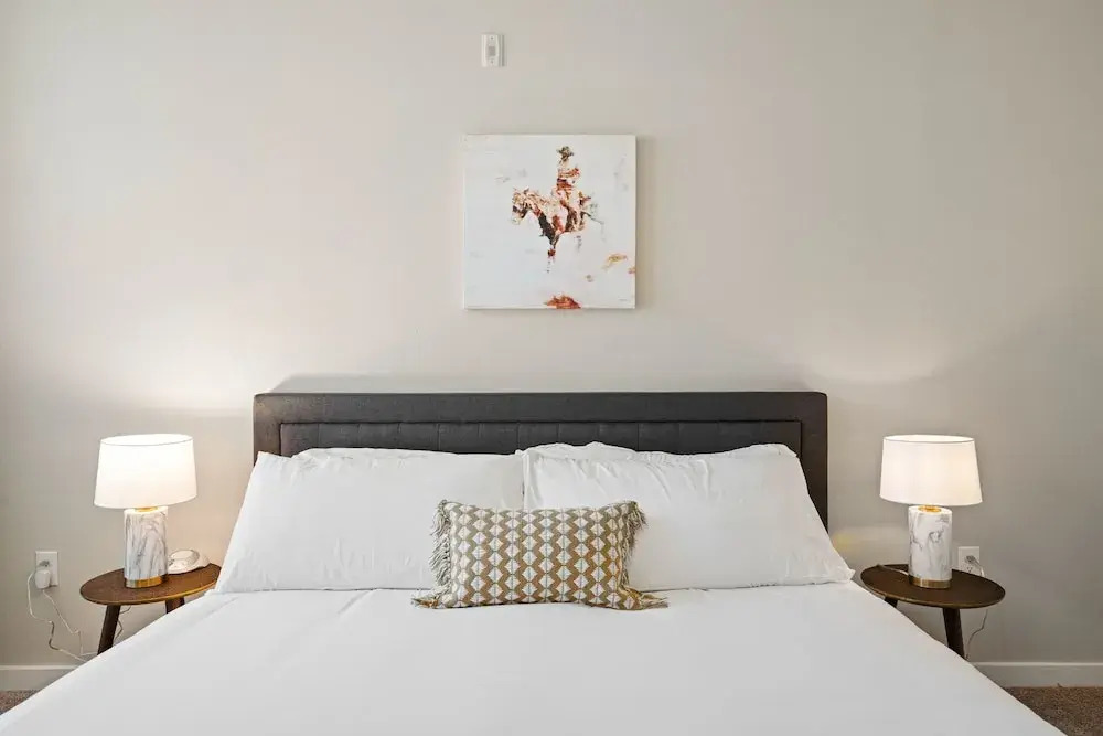 Dallas Beautiful 1BD 1BA Downtown Apartment