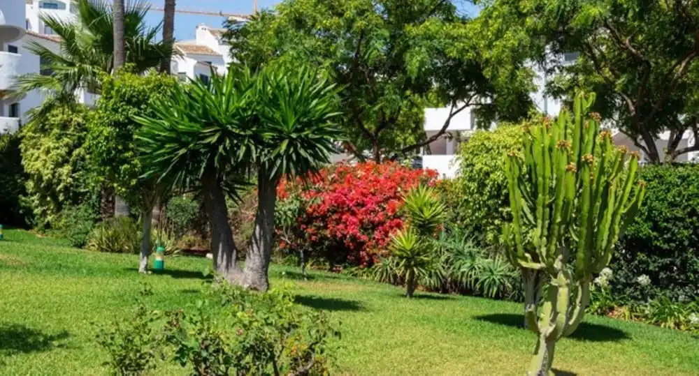 Apartment - 1 Bedroom with Pool and WiFi - 107888