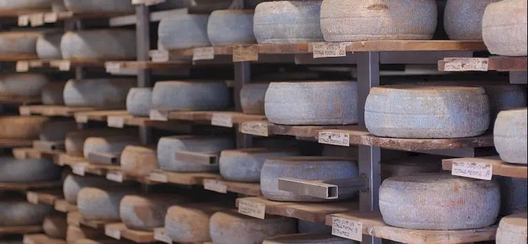 Antica Fattoria La Parrina