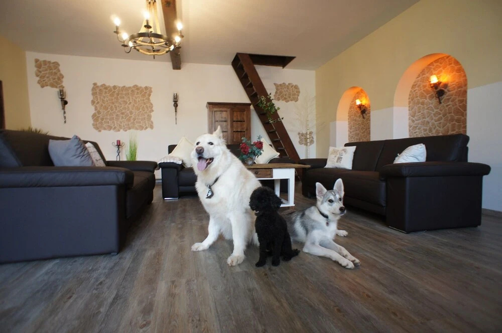 Villa Romantica Large Holiday Home For Up To 12 People, Dogs Welcome