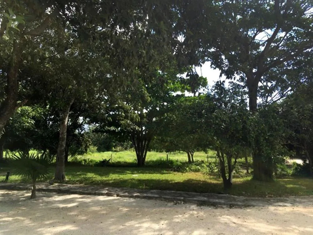 Hotel Casa Tortuga Tulum - Cenotes Park Inclusive