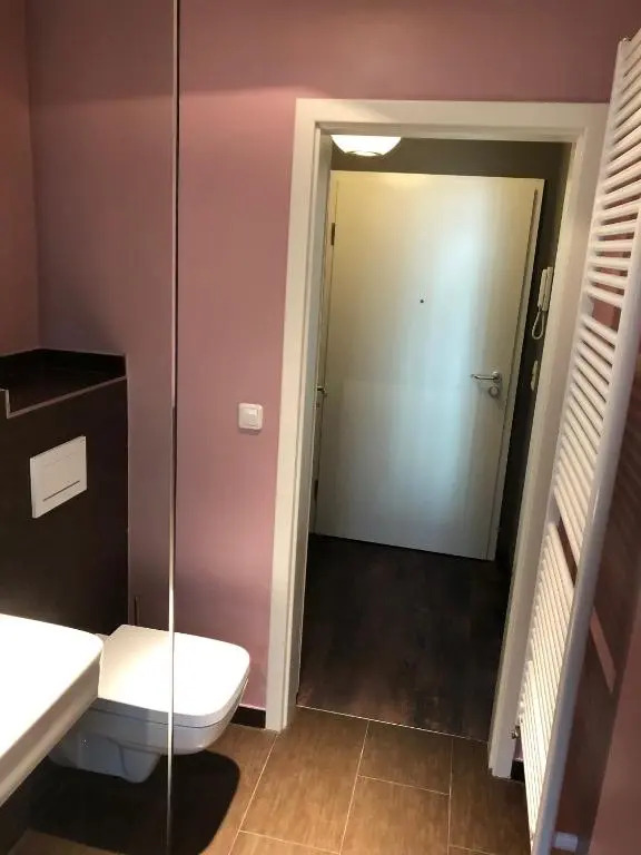 Studio Apartment in Dresden-Neustadt
