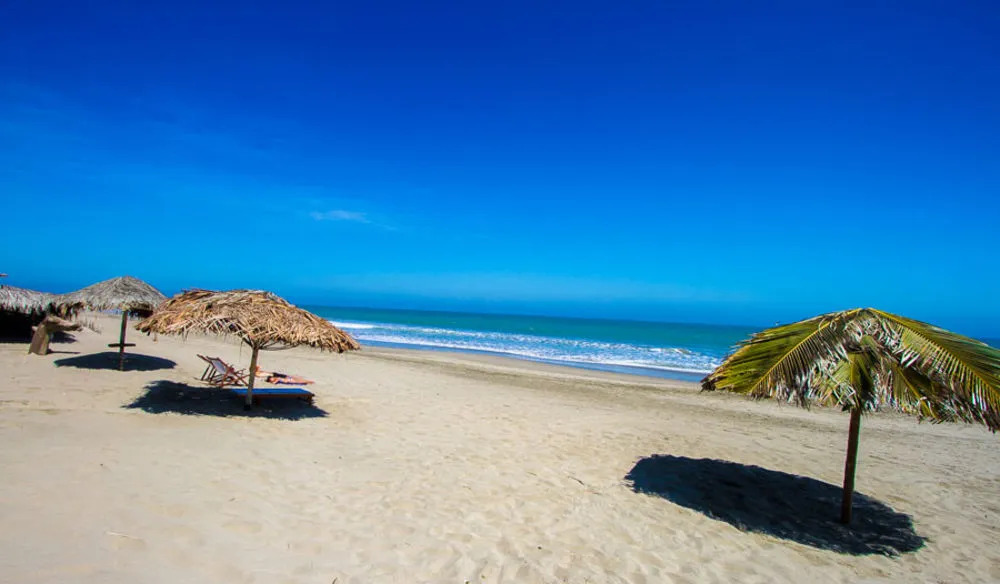 Hotel Playa Palmeras