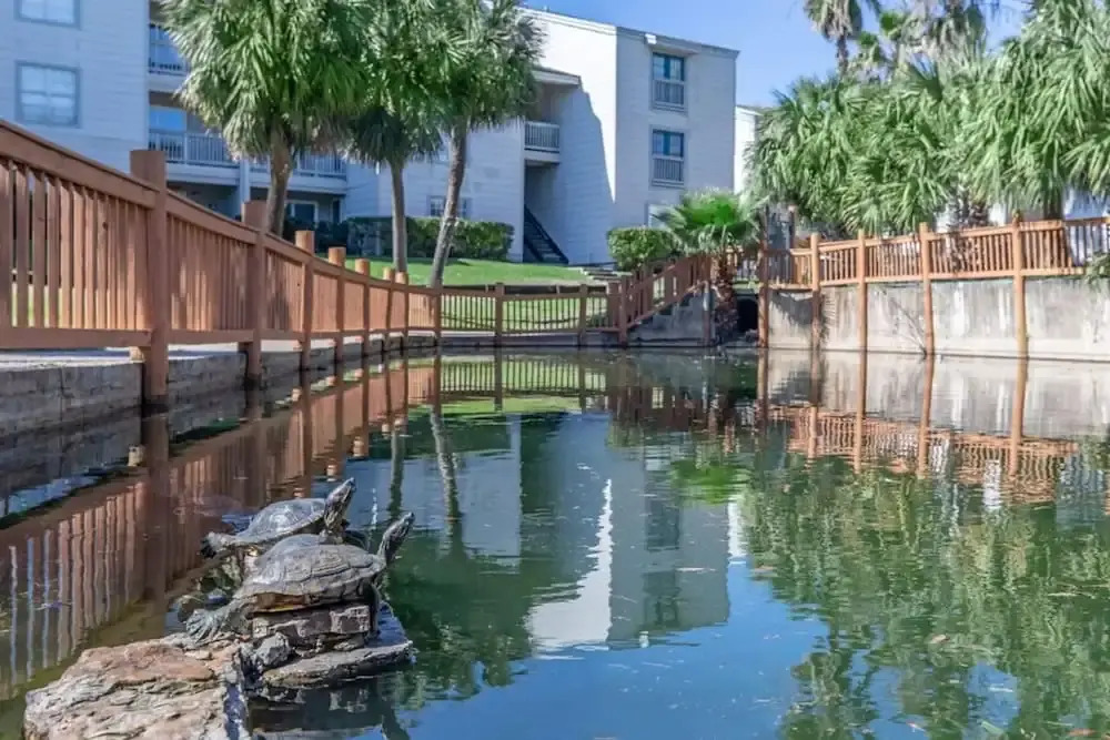 Pelican Bay-galveston s Hideaway
