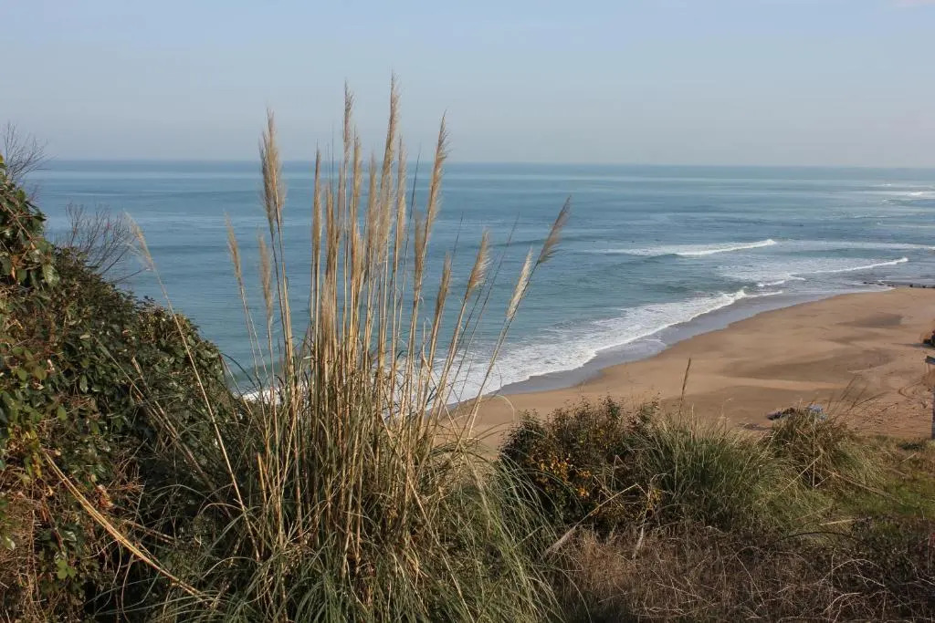 BIDART PLAGE étage 1