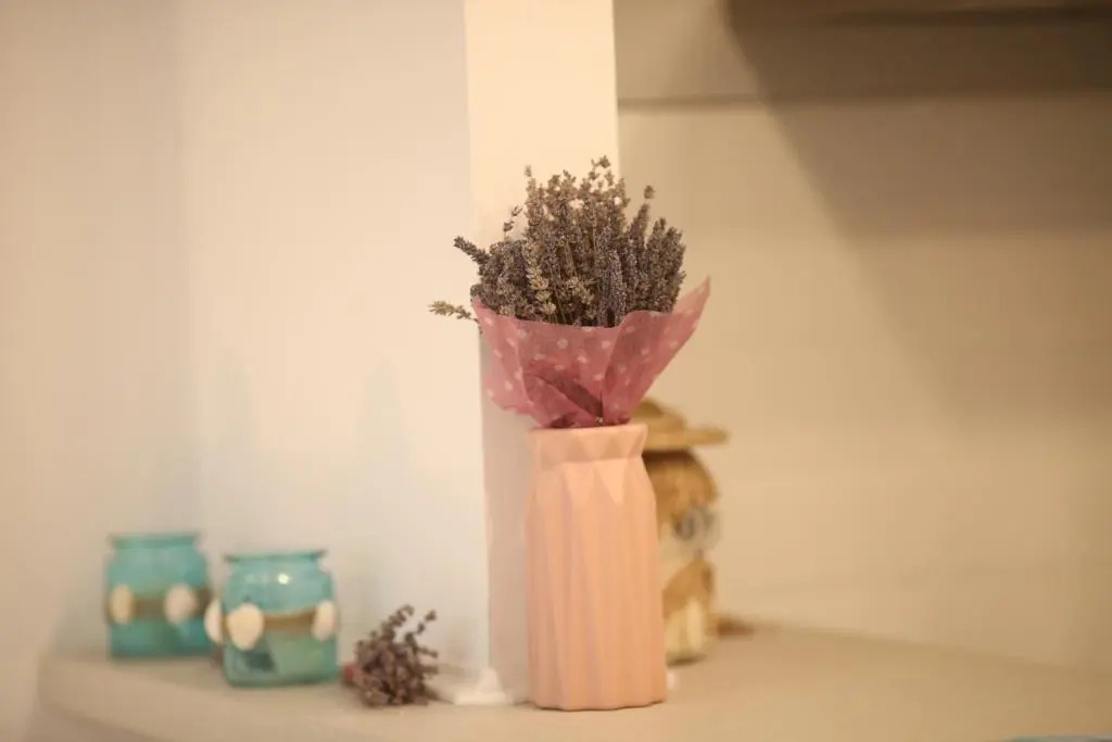 Seashell Studio Mamaia