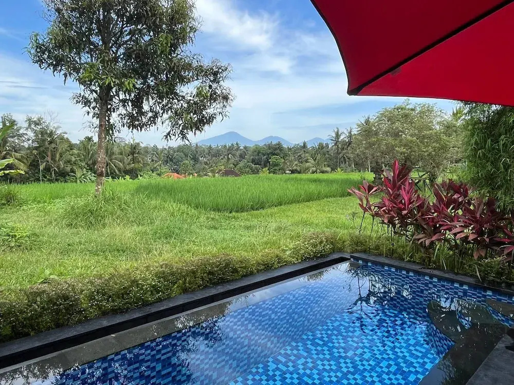 Maple Ridge Ubud Villas with Rice Field View