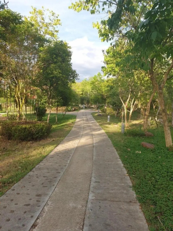 Suan Phueng Pa Wai Resort