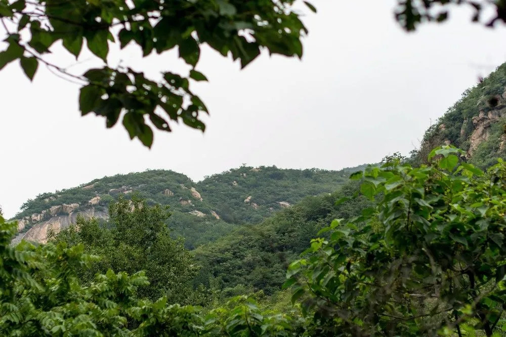 Yiyun RuralResidence ShentangyuFairyTale