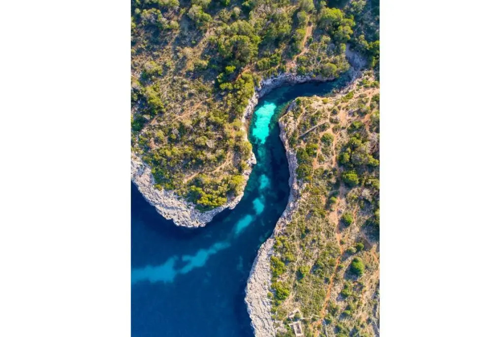 Mirador 4