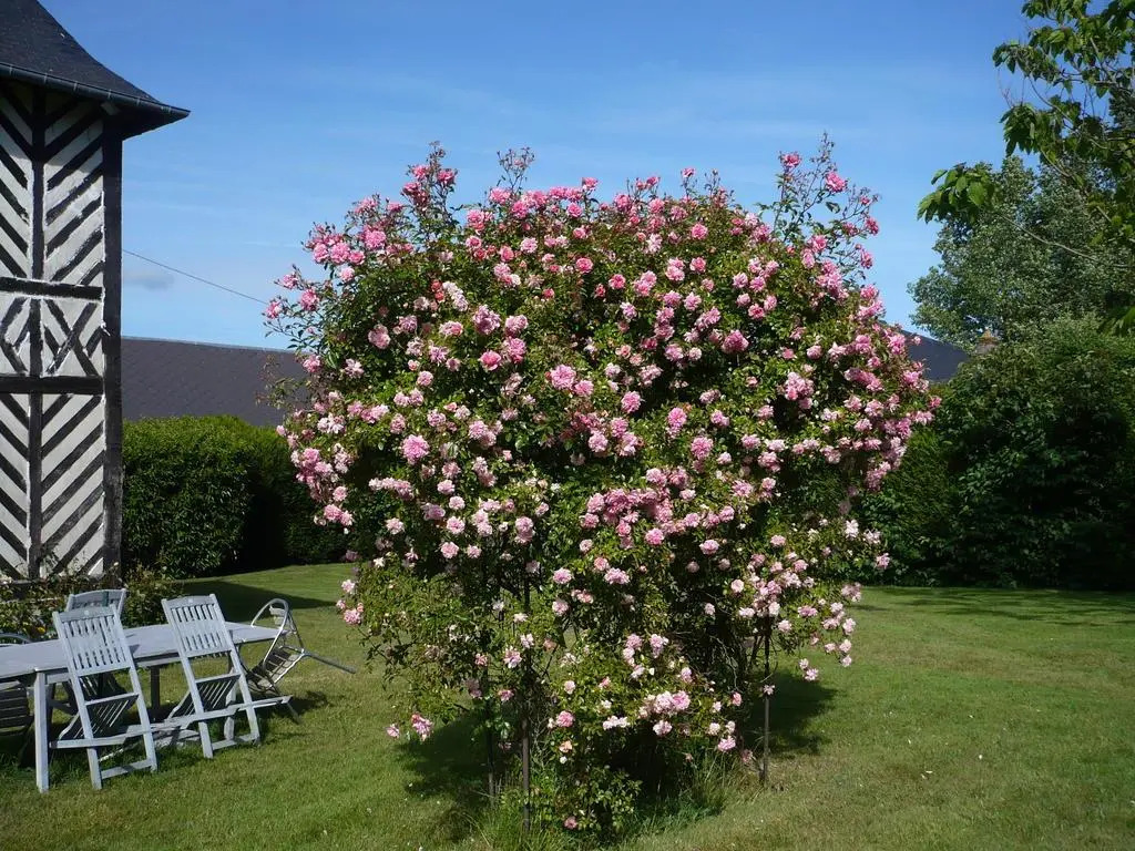 Manoir du Poirier de Chio