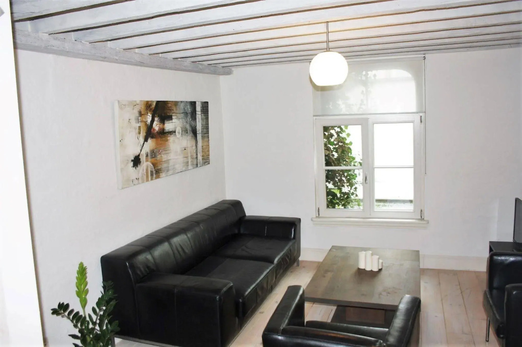 Traditional Modern Apartments