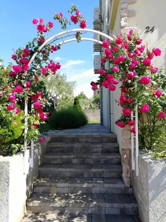 Guesthouse Olei