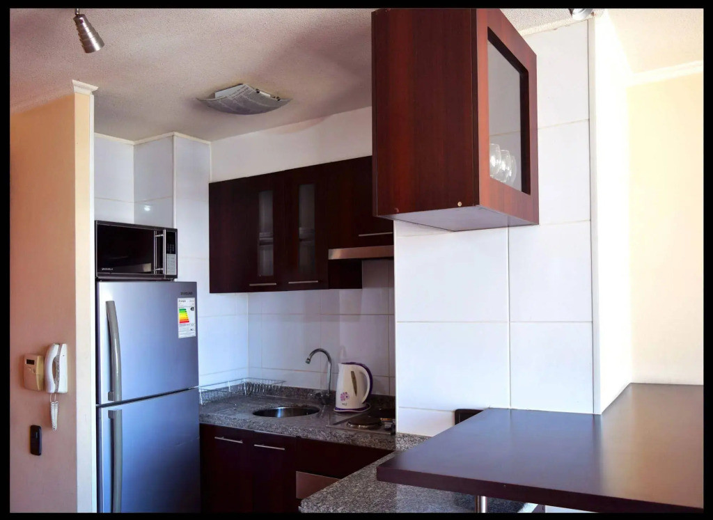 Santiago Furnished Apartments