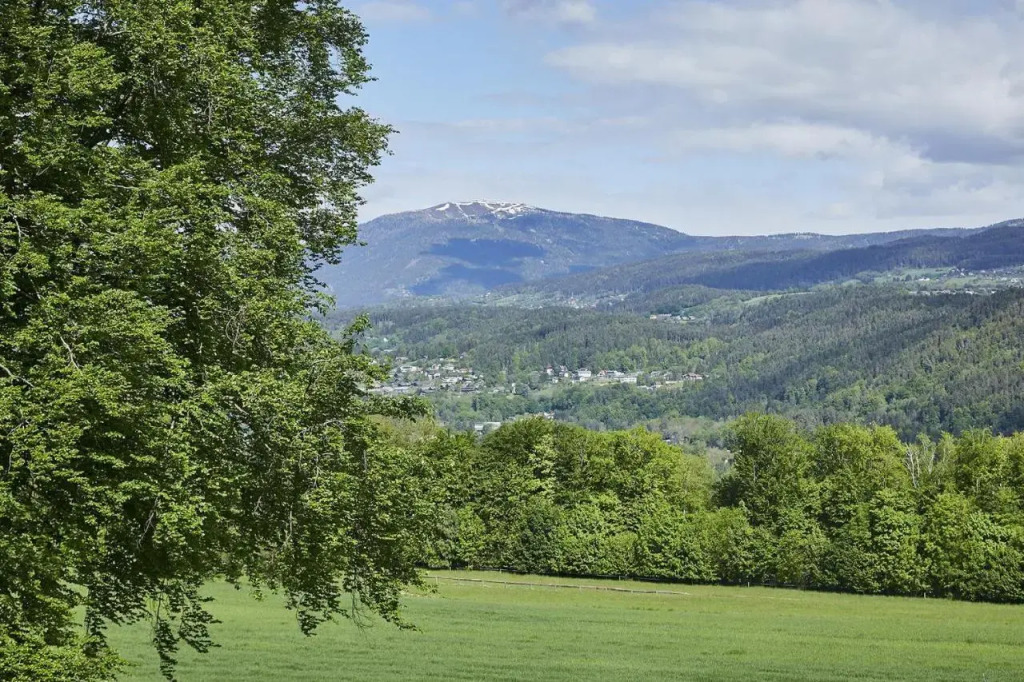 Seeblick Susanne