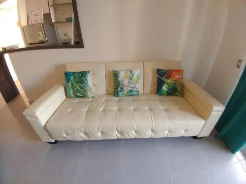 Condominio Surire