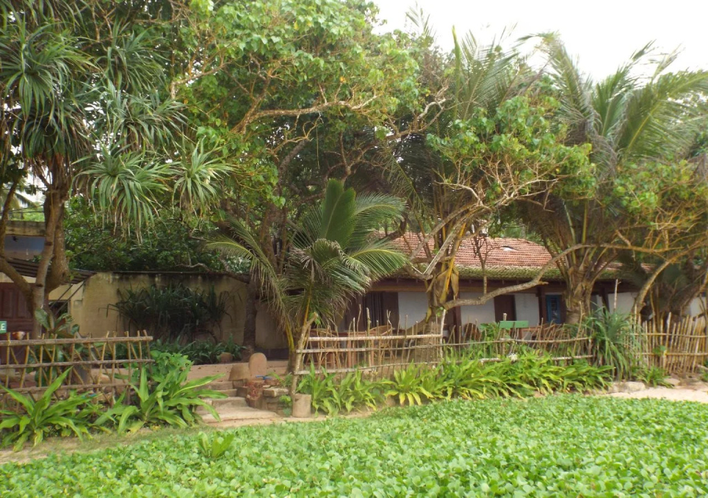 The Shack