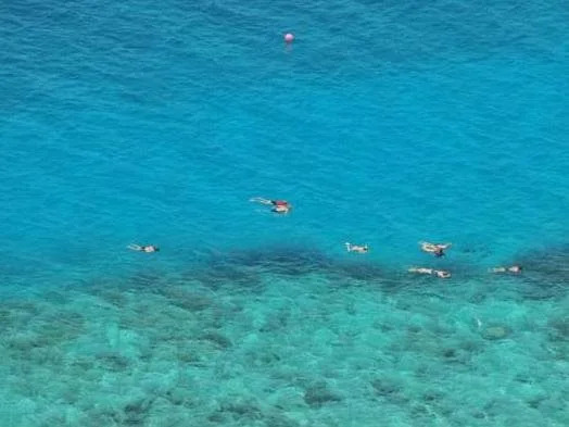 Shimoni Reef Lodge