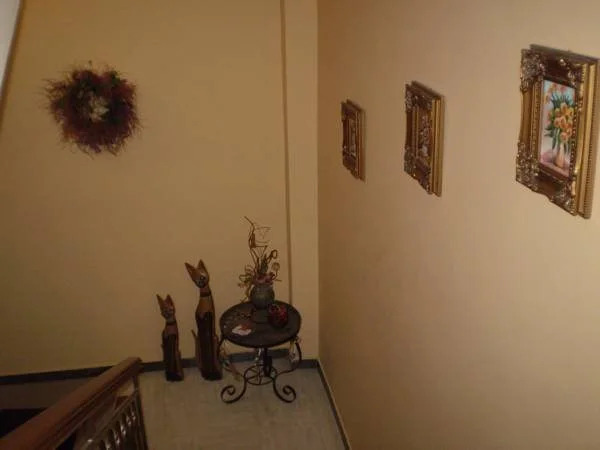 Chrysoulas Guests