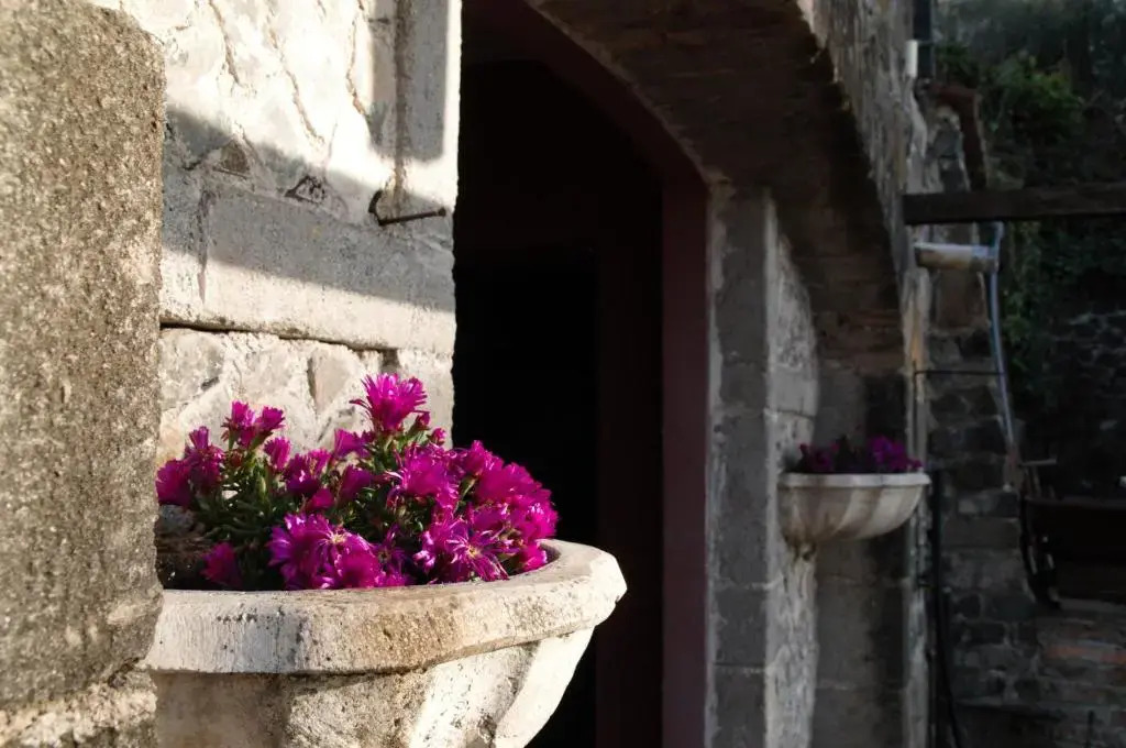 La Corte di Nonno