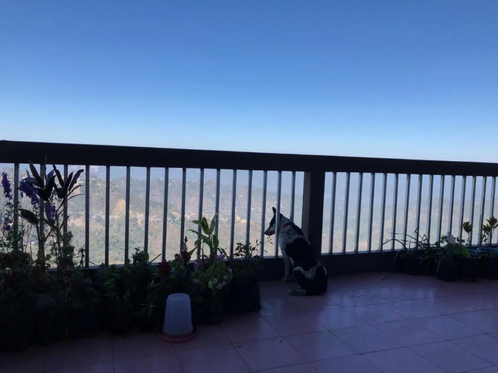 Aizawl Guest House
