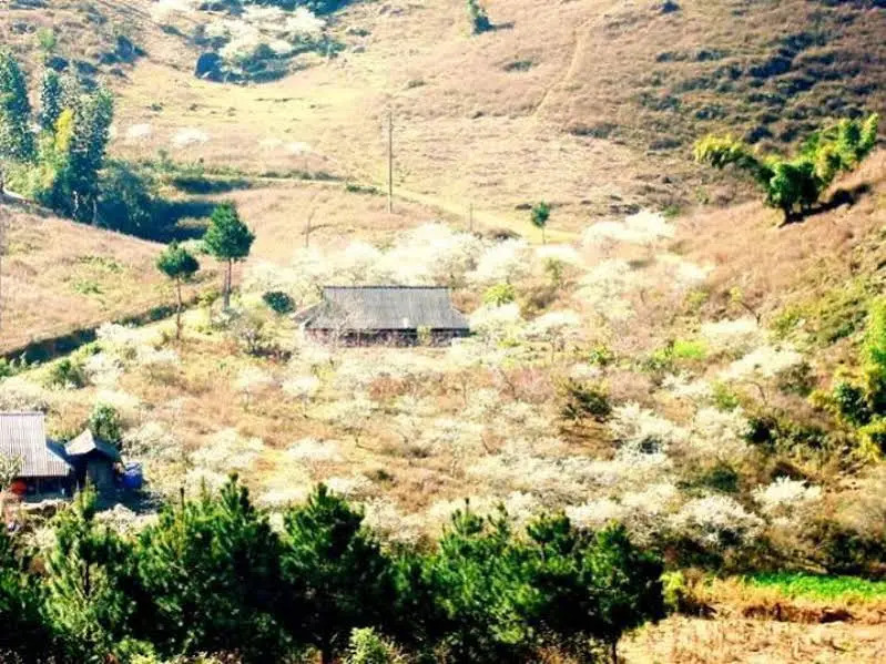Hua Tat Stilt House