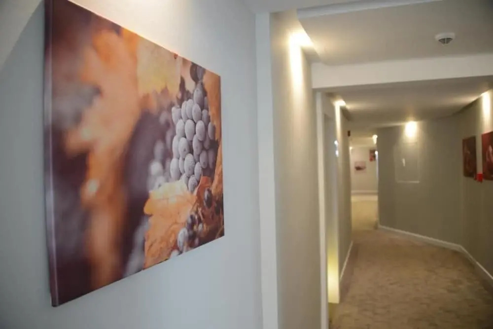 Hotel Nar