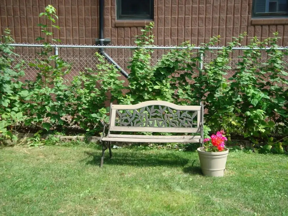Downtown Bed And Breakfast