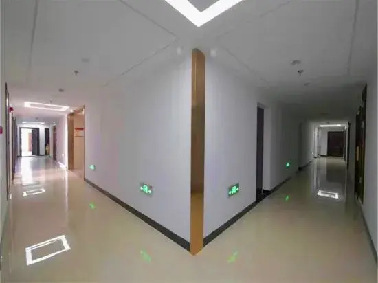 Blueberry Chain Apartment (Linyi Global New World)