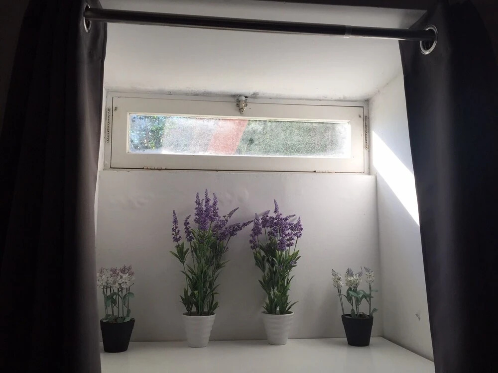 Patio das Escadas - Three-bedroom House in Porto