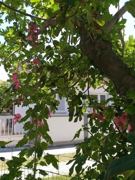 Beautiful apartment Brby near sandy beach