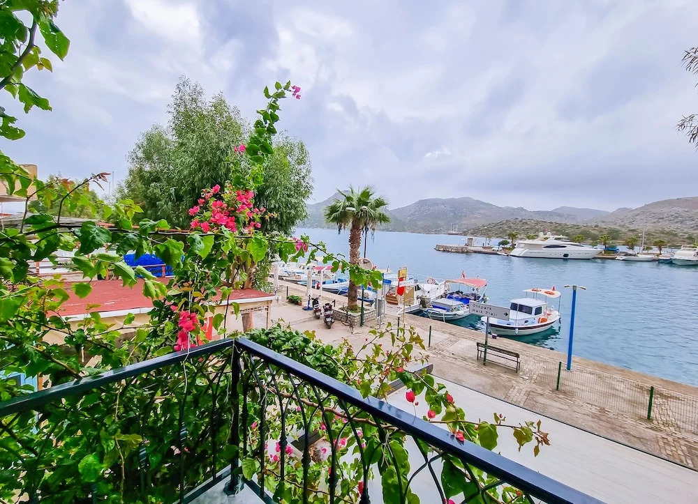 Four Holiday Suites