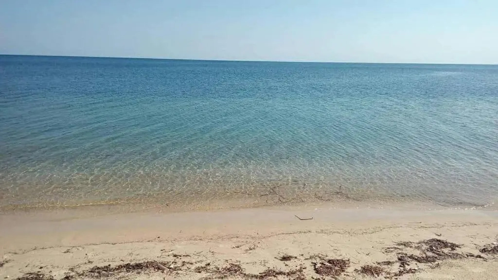 S+1 pieds dans l'eau