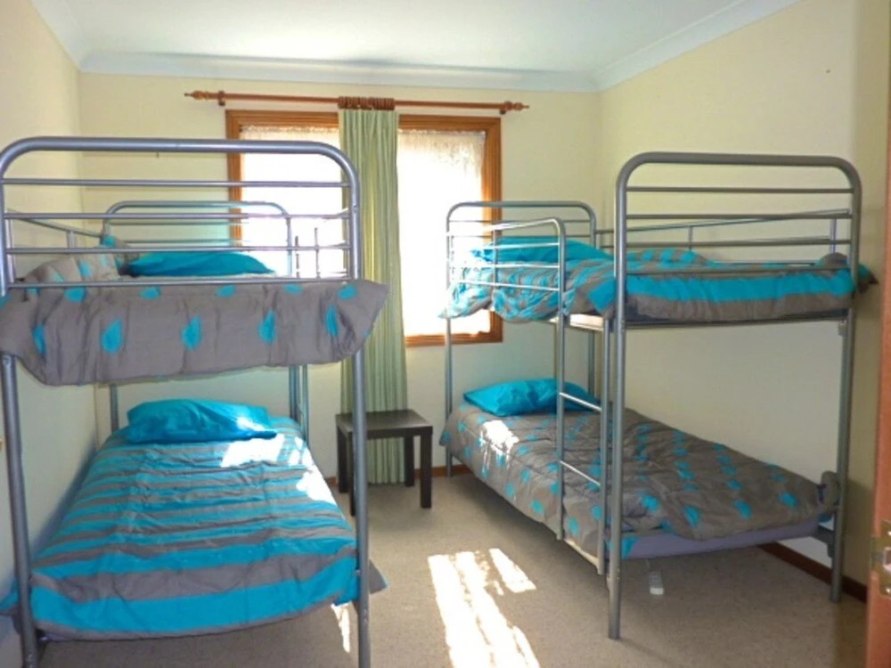 14 Lomandra