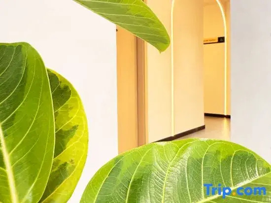 Kaiman Elegant Residence Hotel (Beijing Anzhen Hospital Anzhenmen Subway Station)