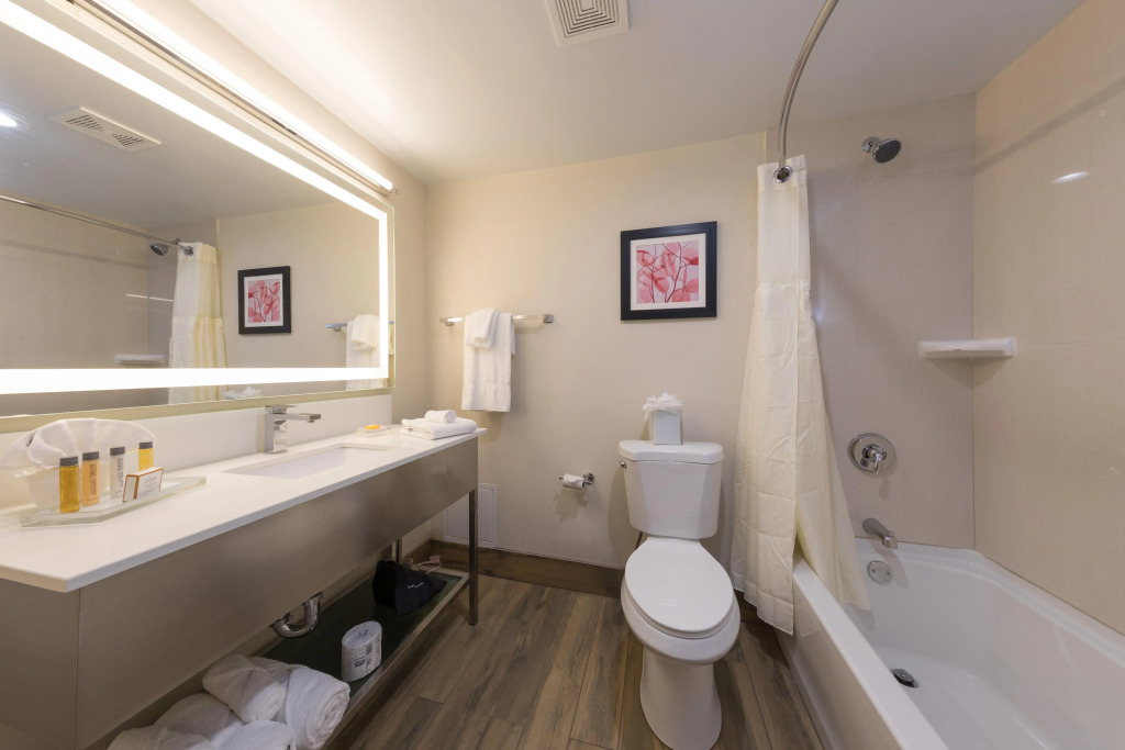 Holiday Inn Brookfield - Milwaukee by IHG