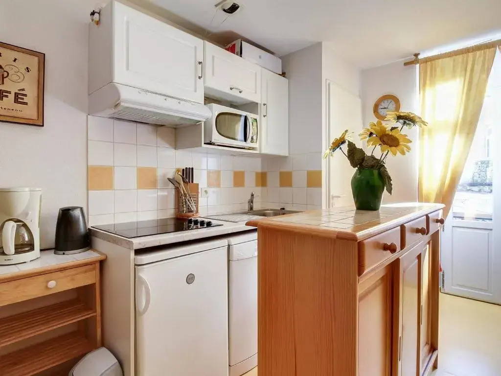 Appartement Cauterets, 1 Pièce, 4 Personnes - Fr-1-401-149