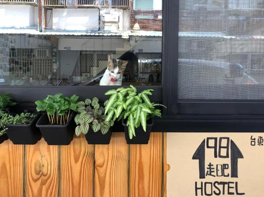 1981Hostel 民宿編號1589號