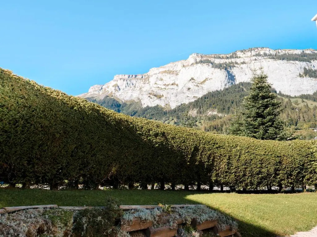 Charming 4 bed flat in Flims