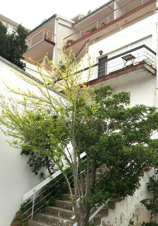 Duplex Avec Vue Sur La Mer