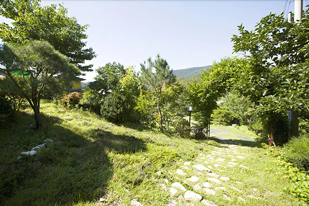 Andong Unga Pension