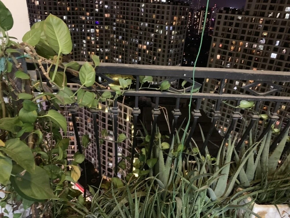 asahi Luxstayr4 Royal City2br Apartment