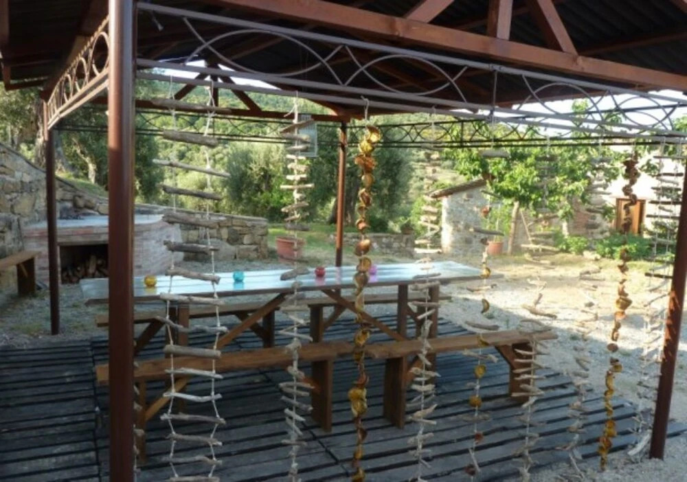 Casale MilleSoli