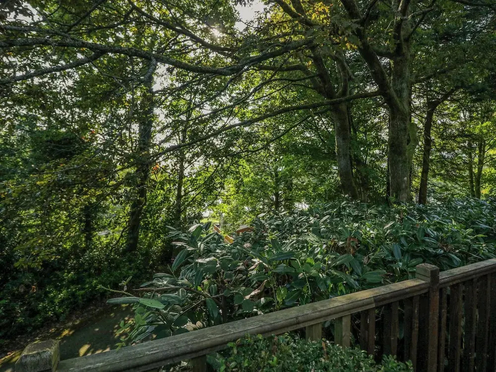 Tree House, Partial Lake Views Pet Friendly