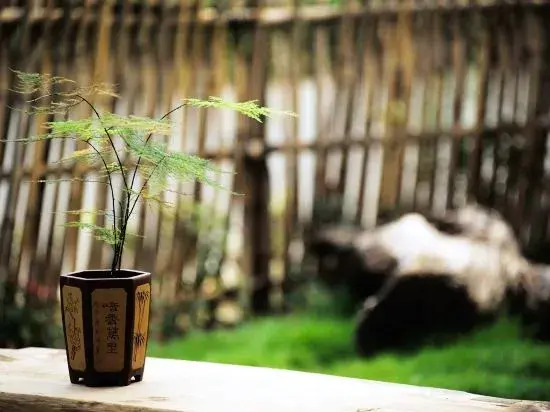 Yangshuo Huajian Homestay (Guilin Qianguqing Branch)