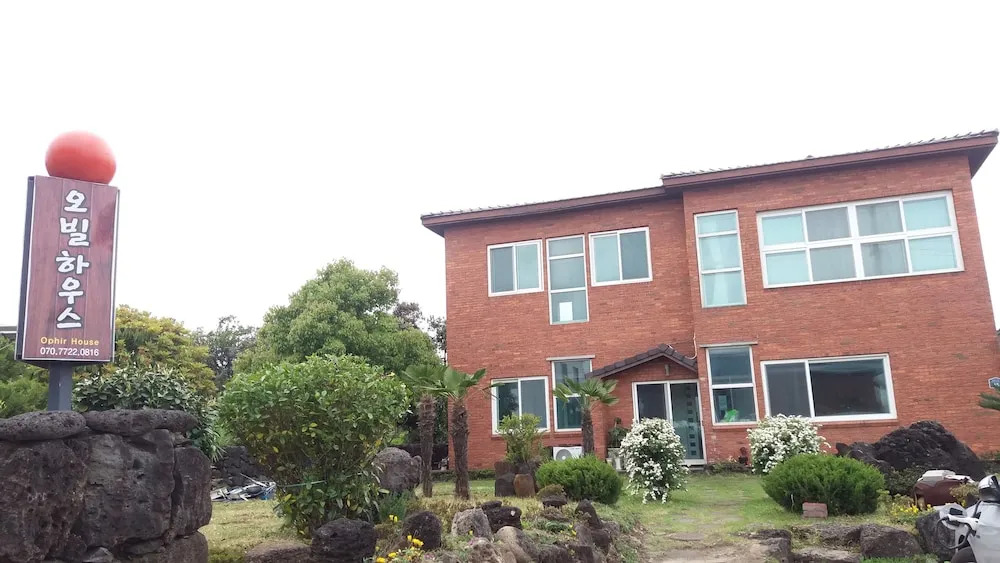 Ophir House Jeju