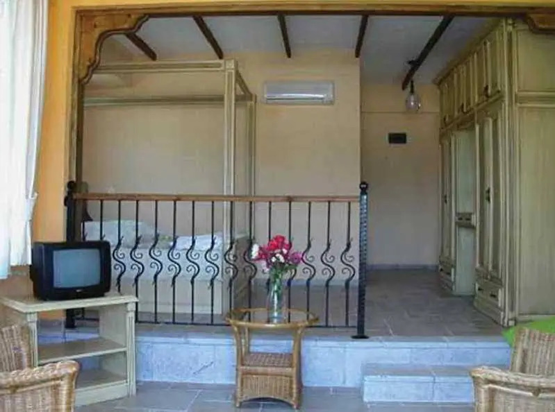 Olive Tree Studio