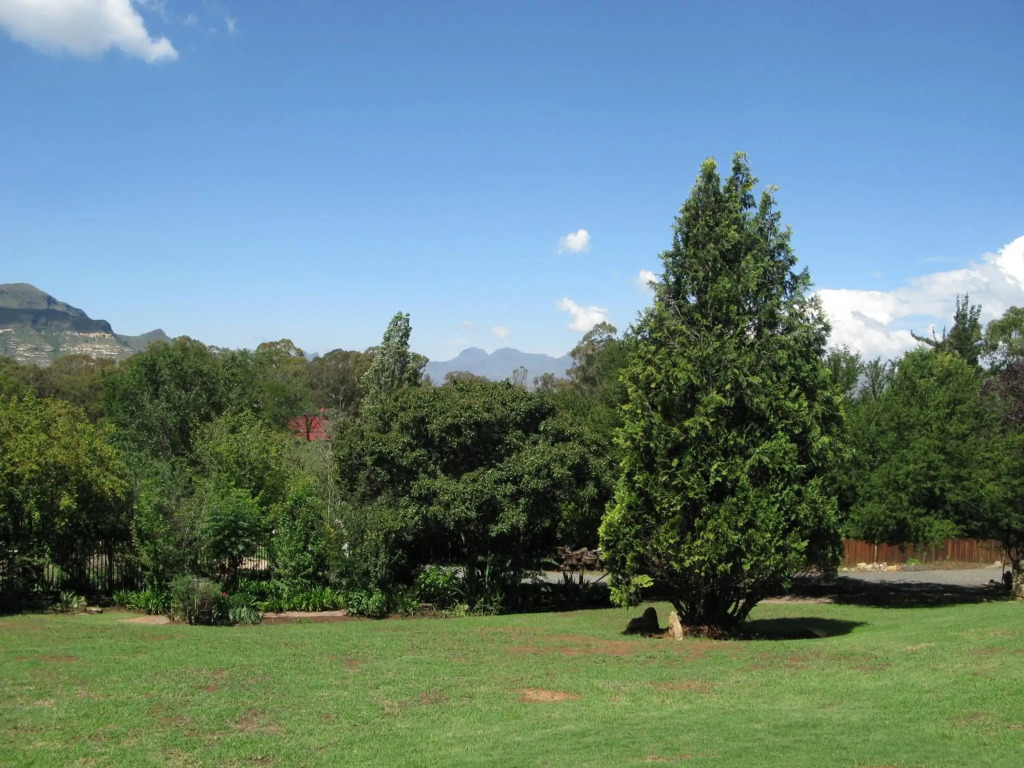 Clarens on Collett